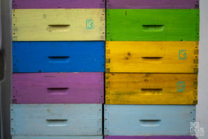 theo cheval 2019 – the eco attitude -13