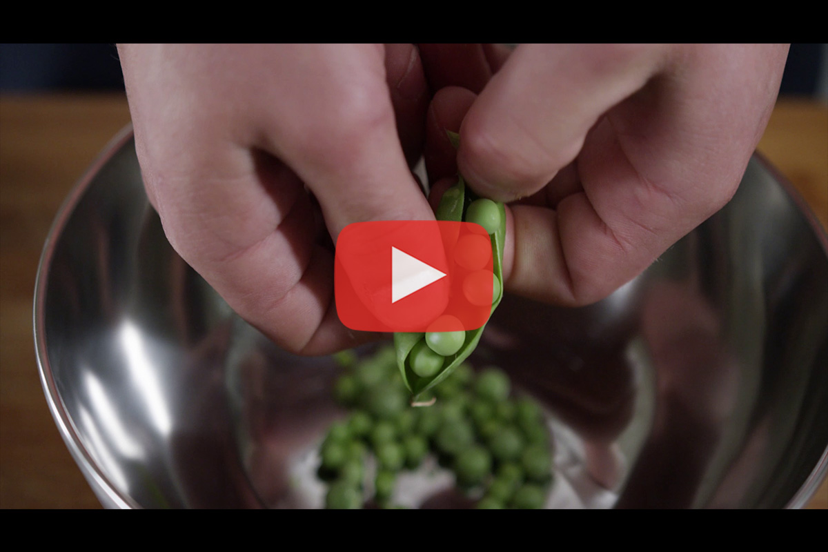 You are currently viewing Halles des 5 Cantons Anglet : CAO