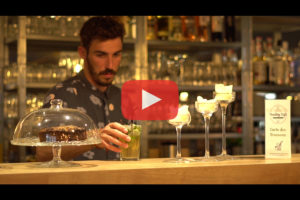 theo-cheval-video-2019-healthy-cafe-capbreton