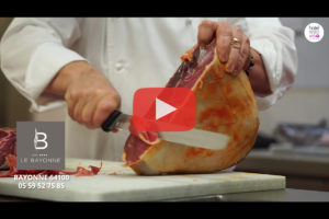 theo-cheval-video-2019-hotel-le-bayonne-restovisio