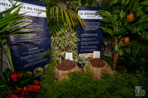 © Théo Cheval 2019 – Bayonne fête son chocolat – 20