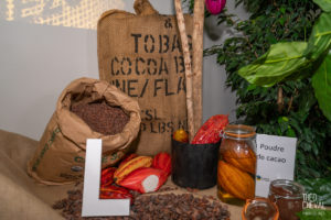 © Théo Cheval 2019 – Bayonne fête son chocolat – 23