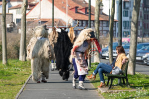 © Théo Cheval 2019 – Carnaval de Bayonne – 02