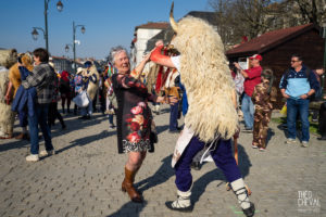 © Théo Cheval 2019 – Carnaval de Bayonne – 03