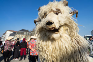 © Théo Cheval 2019 – Carnaval de Bayonne – 04