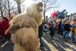 © Théo Cheval 2019 – Carnaval de Bayonne – 13