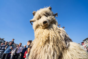 © Théo Cheval 2019 – Carnaval de Bayonne – 27