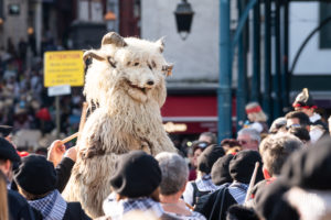© Théo Cheval 2019 – Carnaval de Bayonne – 30