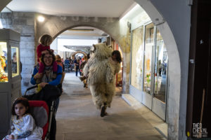© Théo Cheval 2019 – Carnaval de Bayonne – 42