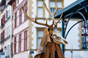 © Théo Cheval 2019 – Carnaval de Bayonne – 54