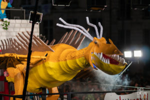 ©Théo Cheval 2019 – Fêtes de Bayonne – Corso Lumineux 17