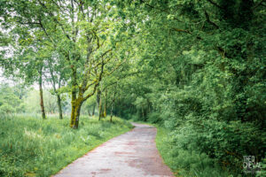 photographe-bayonne-parc-naturel-ansot-04