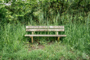 photographe-bayonne-parc-naturel-ansot-07