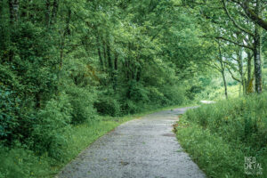 photographe-bayonne-parc-naturel-ansot-12