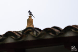 photographe-bayonne-parc-naturel-ansot-13