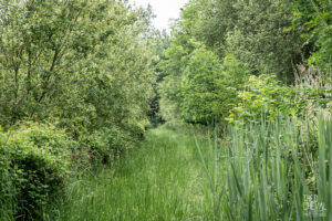 photographe-bayonne-parc-naturel-ansot-24