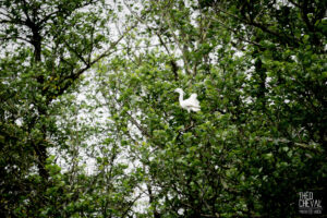 photographe-bayonne-parc-naturel-ansot-28