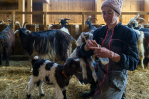 © Théo Cheval _ Tournée Bon Béarnais & Basque _ BD _ 214